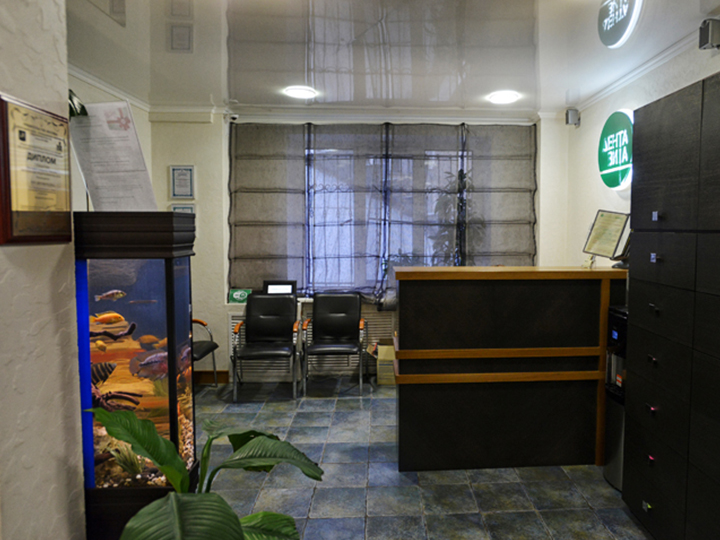 Магазин чиполлино в оренбурге на ленинской. Магазин чиполлино в оренбурге на ленинской. Чиполлино дента. Чиполлино дента. Чиполлино дента.