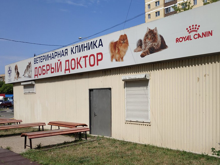 Панорама: Добрый доктор, ветеринарная клиника, Краснознаменская ул., 17Б, Щёлков