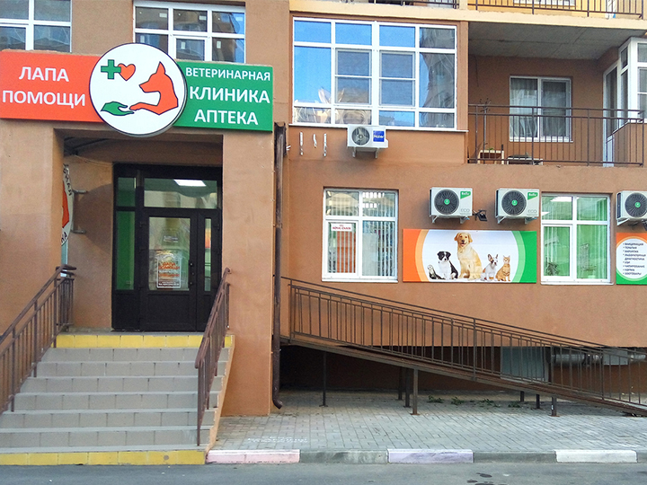 Лапка ветклиника на каскадной ростов Лапка ветклиника на каскадной ростов